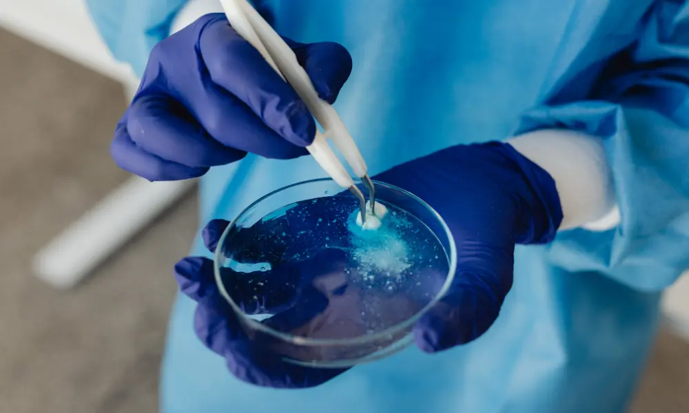 Dissolution Testing