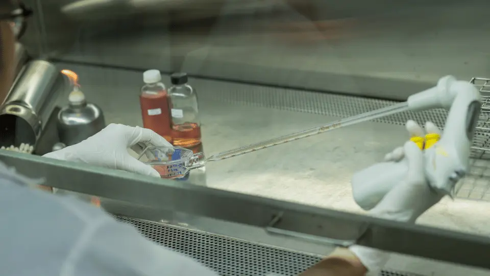 Microbiology Labs